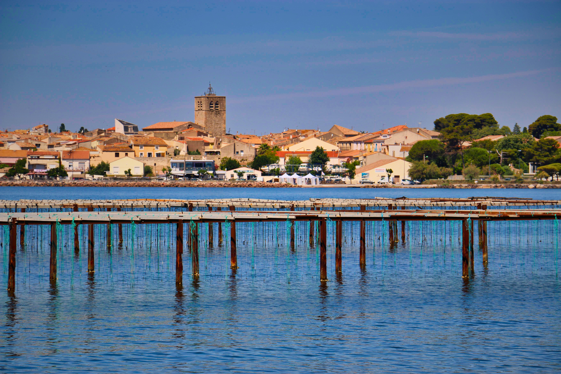 parquet sombre rénovation